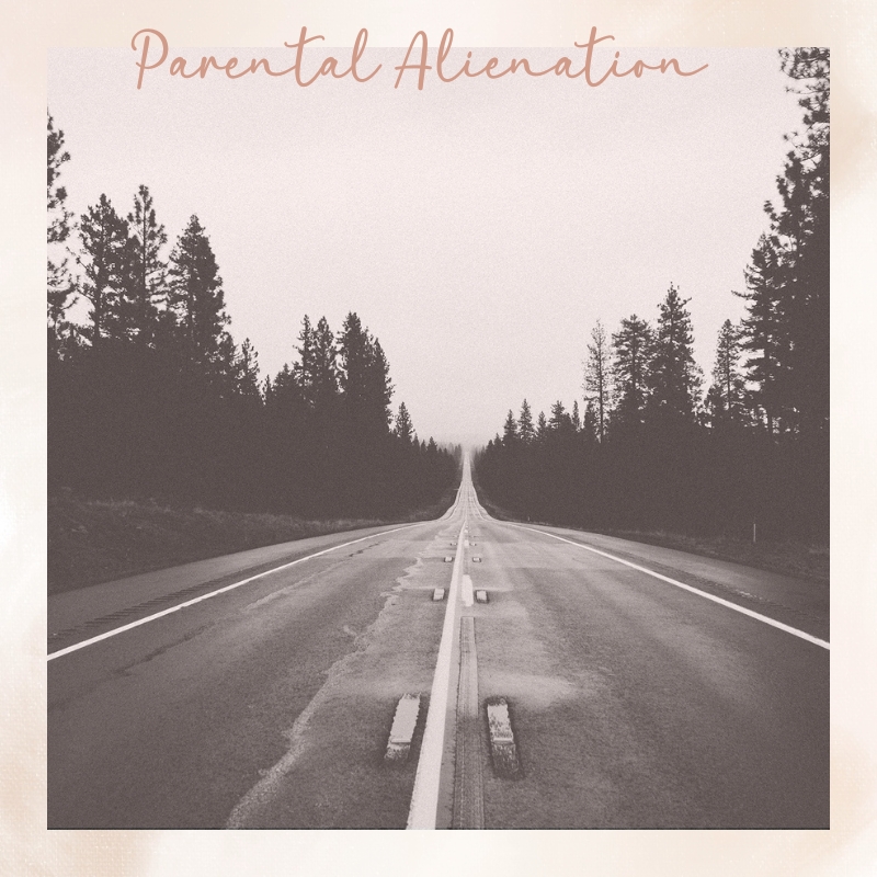 Lifting the Veil on Parental Alienation: Our Personal Journey